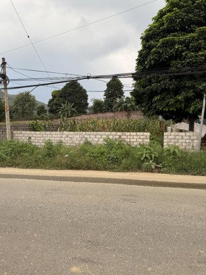 cần bán lô đất 440m /200 thổ cư mặt đường bãi dài tiến xuân.giá tốt lh0982361866