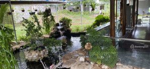 chính chủ nhờ bán lô đất đẹp view biển lương sơn, dt 1794m2, ngang rộng 86m. giá chỉ 13.5tỷ