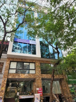 bán nhà mặt phố, vỉa hè trần thái tông 90m2 7 tầng mt 6m 67 tỷ