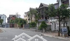 cho thuê biệt thự 300 triệu, 250m2 tại kđt linh đàm, hoàng mai, hà nội, giá ưu đãi