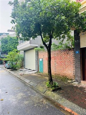 bán đất tđc giang biên ô tô tránh, có vỉa hè, vị trí đẹp. vị trí trung tâm, gần công viên, trư