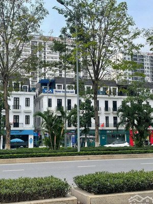 6x ty - bán gấp shophouse tại embassy garden,120m2