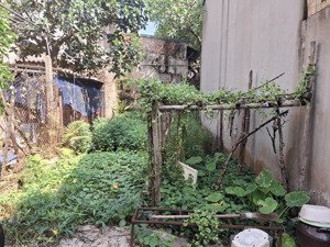 bán đất phúc lợi ôtô đỗ cổng thông,45m2 chỉ 5.6 tỷ gần trường 123,giao thông thuận tiện.