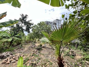 cho thuê nhà đất có tường bao kiên cố, điện nước đầy đủ, mặt tiền 9m, có sẵn cây ăn trái trên đất