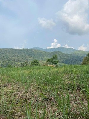 đỉnh đồi tả phìn, sapa 4.100m2 tổng diện tích 500m2 thổ cư + 3.580m2 đất nông nghiệp trên