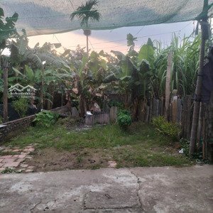 chính chủ ,em có mảnh đất 79m tại tráng việt,mê linh, hà nội