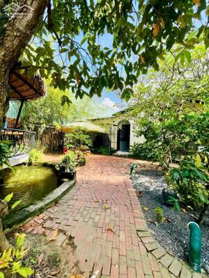 NHÀ CHO THUÊ BIỆT THỰ SÂN VƯỜN 380M² – FULL NỘI THẤT CAO CẤP – KDC HƯNG PHÚ 1 – GIÁ 15 TRIỆU/THÁNG