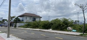 giỏ hàng độc quyền nam hoà xuân cập nhật 20/10 hói kiểng 10, 4,8 tỷ