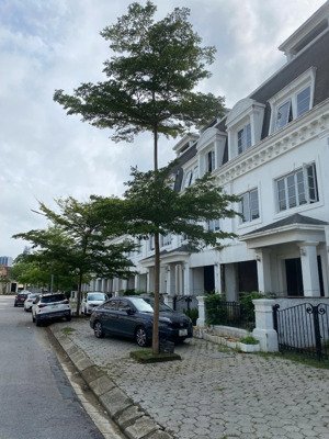 bán nhà liền kề trung tâm tp. vinh đường dương vân nga, nghệ an