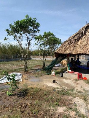 bán đất view kênh thoáng mát, có sẵn thổ cư phù hợp làm nhà vườn nghỉ dưỡng