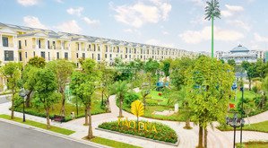 bán gấp liền kề đảo dừa đd3-11, 56m² giá 10.371 tỷ gần trục chính, tiềm năng tăng giá mạnh