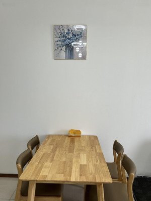 căn hộ 1pn 56m² chính chủ giá tốt 6,5 tỷ, view sông trực diện