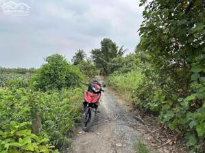  CẦN BÁN ĐẤT VƯỜN CÓ THỔ CƯ - GIÁ TỐT TẠI BÌNH ĐỨC, BẾN LỨC, LONG AN Vị trí: Bình Đức, Bến Lức, Long an
