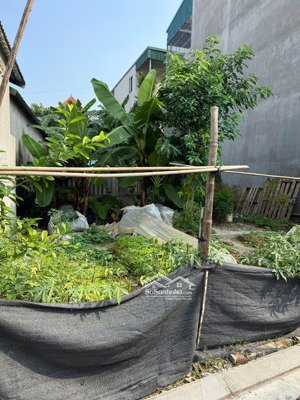 đất cực đẹp, mua định cư ở sướng