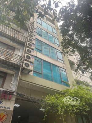 bán nhà mặt phố âu cơ tây hồ
9 tầng thang máy mặt tiền 6.3m thông sàn giá 63 tỷ