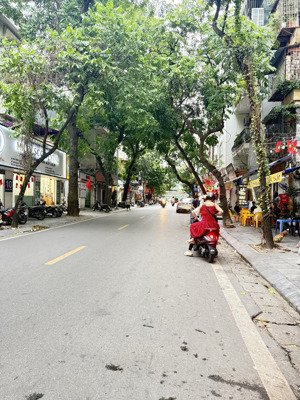 liễu giai ba đình 200m2, lô góc 8 tầng. gần kim mã - linh lang - đội cấn