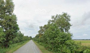 bán đất tại đt 831, tuyên bình, vĩnh hưng, long an, 55 tỷ, 17206 m2