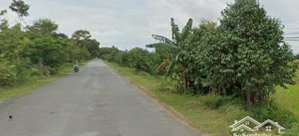 bán hơn 1,6ha skc mặt tiền đt 831, tuyên bình, vĩnh hưng, long an