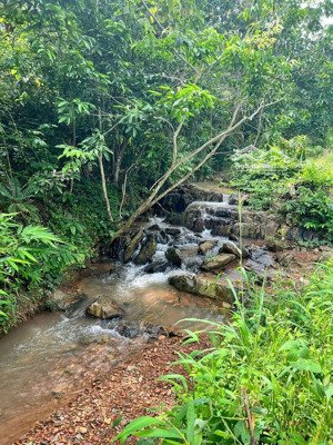 cần bán lô đất 6,2x50m xây 9 nhà trọ cho thuê thu nhập hơn 30 triệu/ tháng ngay chợ long phước