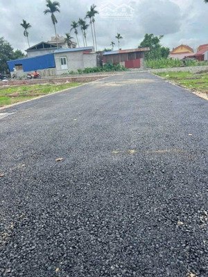 chỉ hơn 7xx tr có ngay lô đất đường nhựa tân phong, kiến thụy. đường nhựa 4m + ô tô vào thoải mái