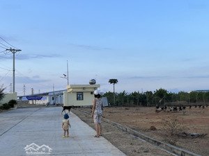 chính chủ cho thuê đất ninh thuận 16.000 m2 có nhà nhỏ, hồ, cây,... điện nước đầy đủ