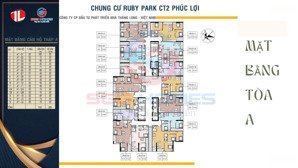 cần pass cọc không chênh tại dự án ruby park long biên hà nội