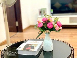 cho thuê căn hộ 1pn, 53m2 tại times city, 13,5 triệu, hai bà trưng, hà nội