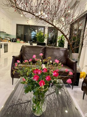 cho thuê biệt thự 160m2 hướng đông nam 25 triệu full đồ