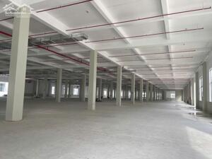 Cho thuê xưởng 20,000m2 KCN Bàu Bàng, Huyện Bàu Bàng, Bình Dương