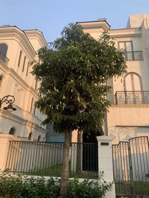 tôi chủ nhà cần chuyển đổi- bán biệt thự ngọc trai 9-65 vinhomes ocean park 1 -gia lâm, 148m2/80m2