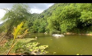 bán lô đất 4700m2 ao suối núi non cực đẹp tại lạc thủy - hb(phú thọ) giá 6. x tỷ