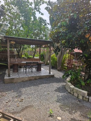 bán nhà vườn, cực kỳ đẹp. 1000m2 có 250m2 thổ