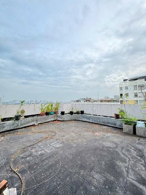 cần tiền bán gấp penthouse 2 sân sky garden 2 phú mỹ hưng q7, 15.6 tỷ, phù hợp nhu cầu người mua ở