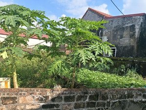 đất siêu rẻ, siêu đẹp tại vân từ -phú xuyên - hà nội