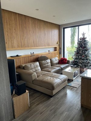 siêu phẩm nhà 5 tầng thang máy góc 2 mặt thoáng cách cầu rồng chỉ vài bước