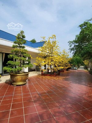 bán đất biệt thự vườn, có cây ăn trái, hồ nuôi cá mát mẻ. diện tích lớn, giá chỉ hơn 9tr/m2