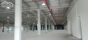 Cho thuê nhà xưởng 1.800m2 tại khu công nghiệp Vsip – Bắc Ninh