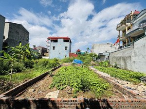 cơ hội an cư lập nghiệp đông anh và hàng xóm vin cổ loa