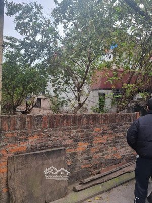 đường 6m thông kinh doanh đỉnh đầu tư sinh lời mặt tiền bề thế full thổ cư đa tốn gia lâm