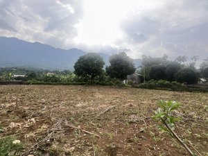 cc cần bán 1615m2 ngay ngã 3 thuống- yên bình- hà nội