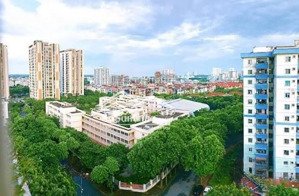 cho thuê mặt bằng chân đế kđt việt hưng diện tích linh hoạt 300 1000m