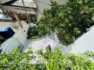 bán nhà đẹp có sân vườn, phòng ngủ tầng trệt, cách phú mỹ hưng 5 phút - quận 7, giá 5.8 tỷ