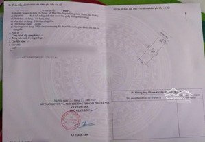 đất đấu giá du ngoại mai lâm đẹp chuẩn từng centimet