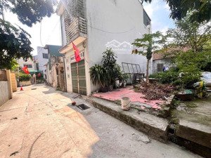 mua đất tặng cây đu đủ sai trĩu quả lộc đầy nhà - mai lâm đông anh