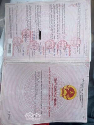 bán đất dt 827e tan tru long an giá rẻ cần bán gấp