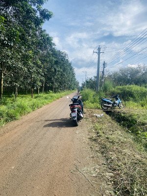 bán nền cạnh nhựa ql56&ql1a gần chợ trường ,ubnd 600m ,đường nhựa thông thoáng