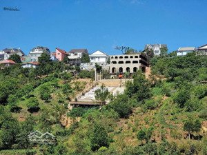 đất nông nghiệp ngay trung tâm đà lạt, dt 524m2 đường hoàng hoa thám, view rừng thông. giá 3.8 tỷ