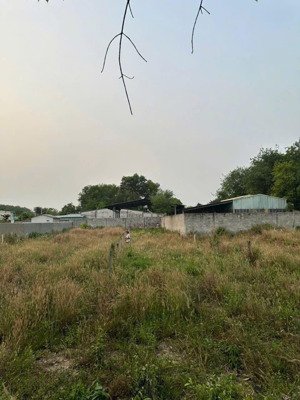 chính chủ bán đất giá rẻ phú an bến cát sổ hồng riêng