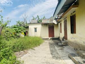 Gấp bán đất 350m2. Tặng nhà cũ tại An Thanh, Tứ Kỳ Hải Dương