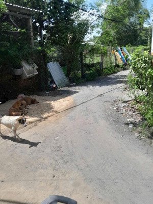 bán nhà vi bằng (4x14m) 56m2 tại đường 20, hòa phú, củ chi, hcm giá 700 triệu